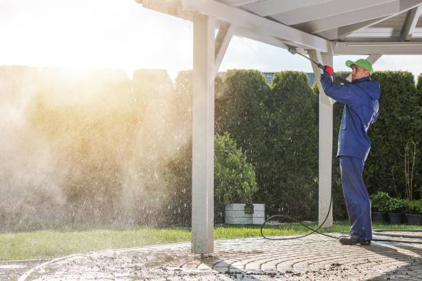 Best Pool Deck Cleaning  in Holden, MO