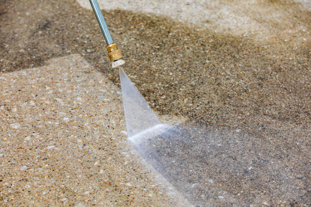 Best Driveway Pressure Washing  in Holden, MO